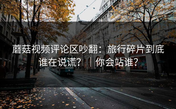 蘑菇视频评论区吵翻：旅行碎片到底谁在说谎？｜你会站谁？