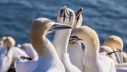 愤怒！圈内隐情让人破防，网友炸锅