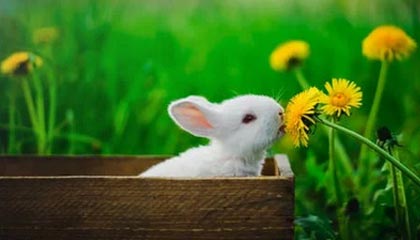 崩溃！某平台幕后彻底反转了，整个行业都震动，平台震荡是什么意思