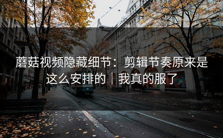 蘑菇视频隐藏细节：剪辑节奏原来是这么安排的｜我真的服了